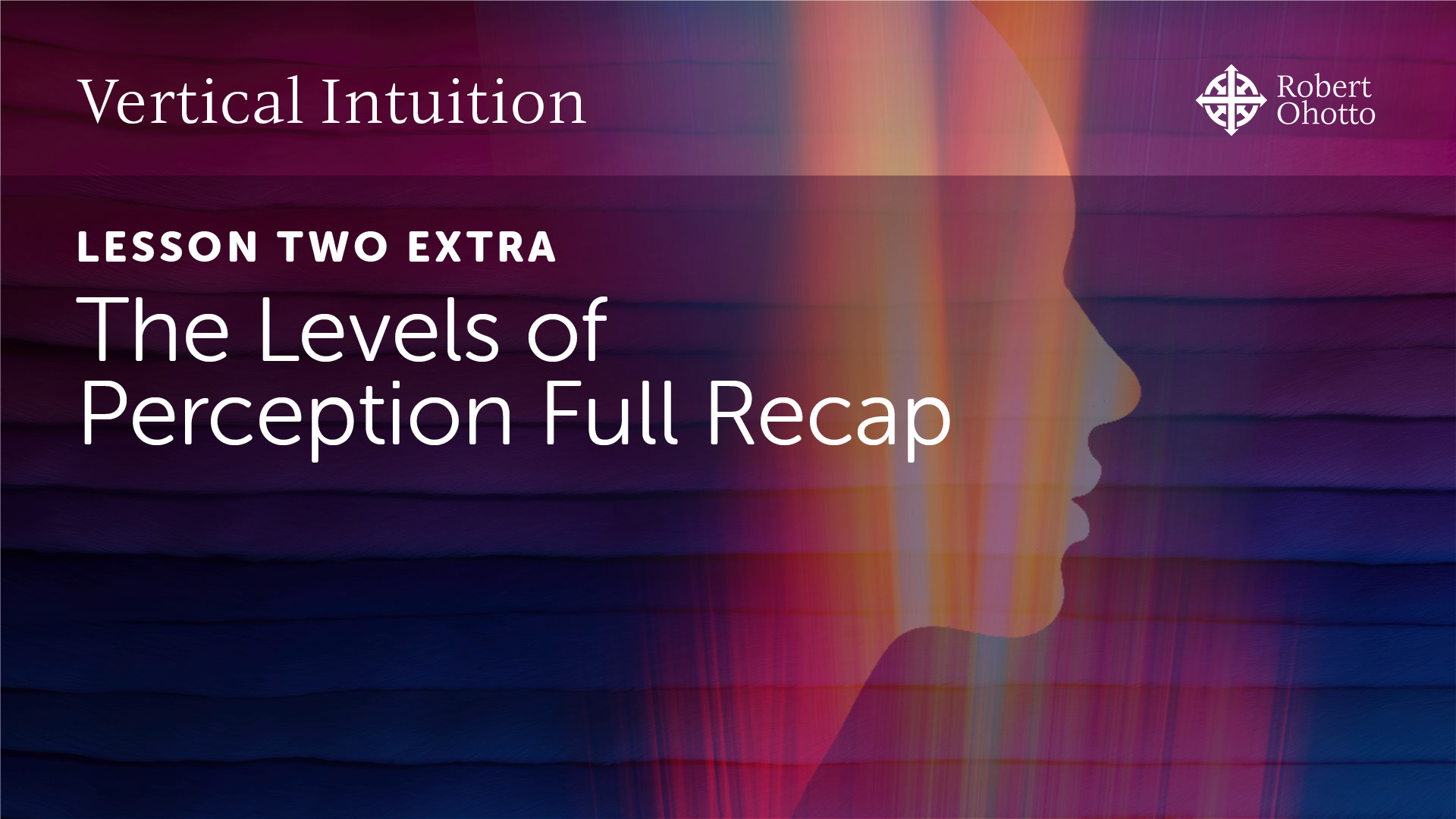 Lesson Two Extra: The Levels of Perception Full Recap